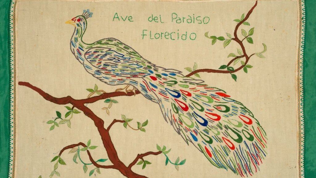 Ave del Paariso Florecidocc.1995年